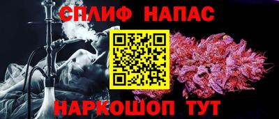 бошки Тара