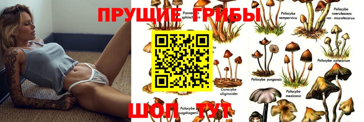 Псилоцибиновые грибы Cubensis  Галлюциногенные грибы Magic Shrooms  Вход с VPN  Ноябрьск 
