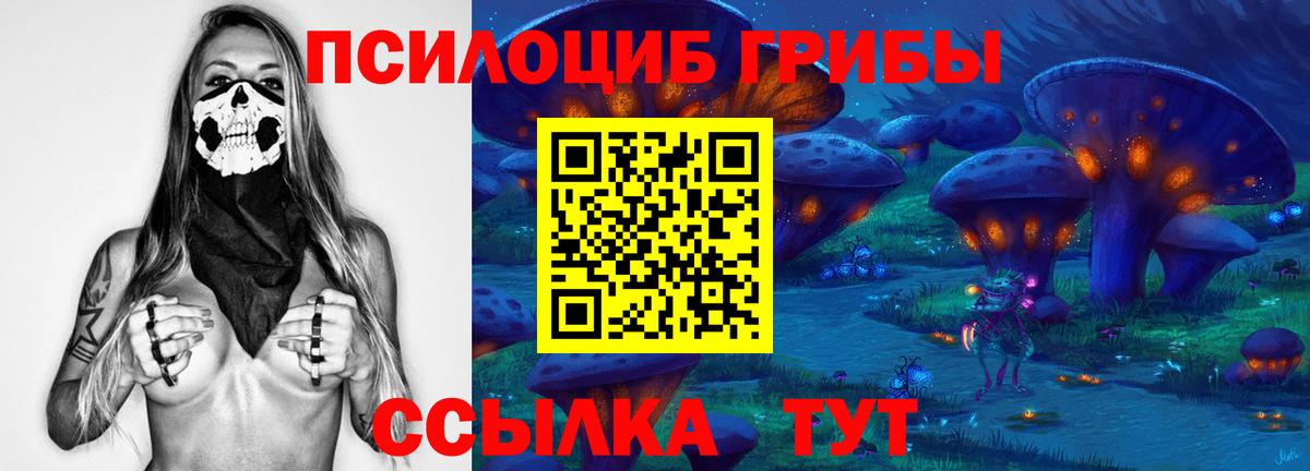 Галлюциногенные грибы прущие грибы Ноябрьск